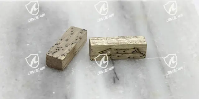 DINOSAW diamond segments for marble (19)@1.5x