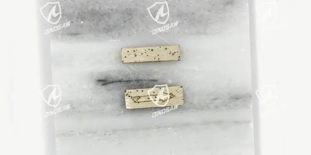 DINOSAW diamond segments for marble (20)@1.5x