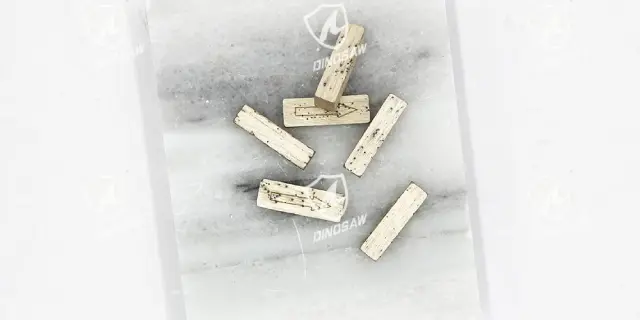 DINOSAW diamond segments for marble (21)@1.5x