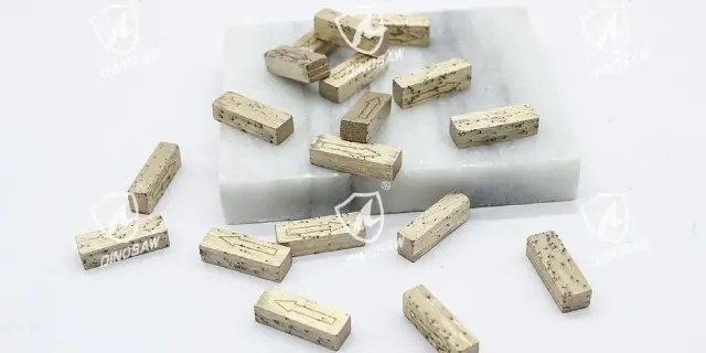 DINOSAW diamond segments for marble (23)@1.5x