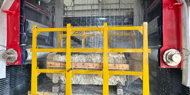 multi-wire saw application (18)
