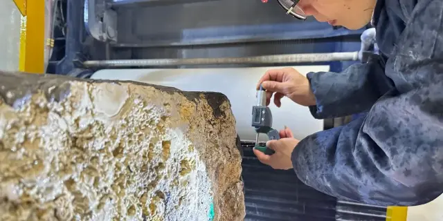 multi-wire saw application (29)